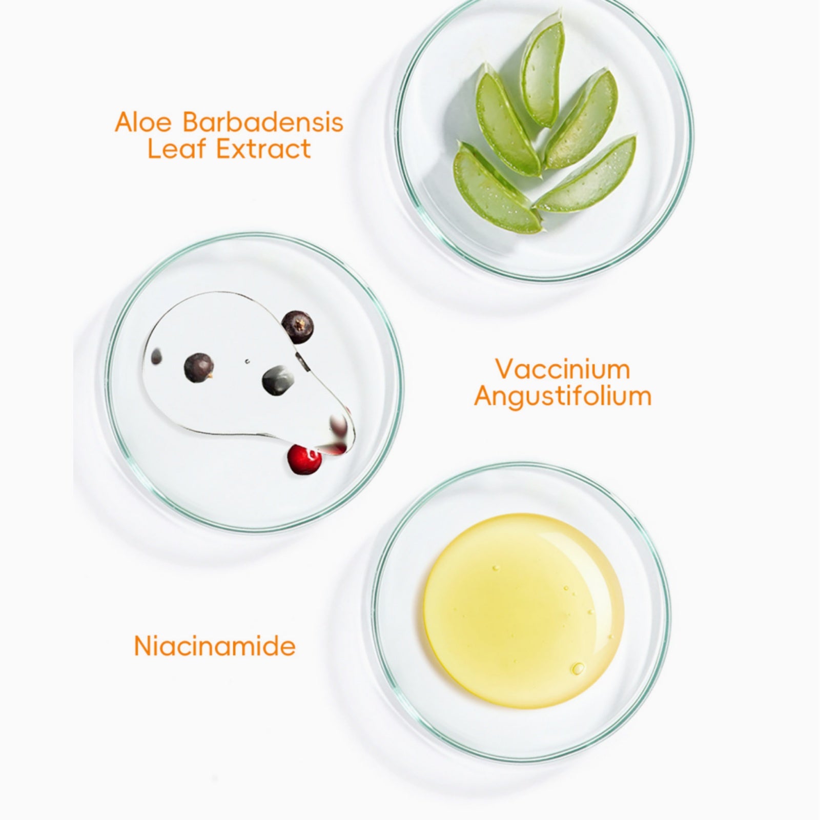 LAIKOU Vitamin C Facial Cleanser - VelisseCosmetics